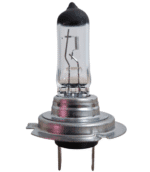 Lampe Halogène H7 Prilight 12V 55W – Éclairage Standard Puissant – Image 3